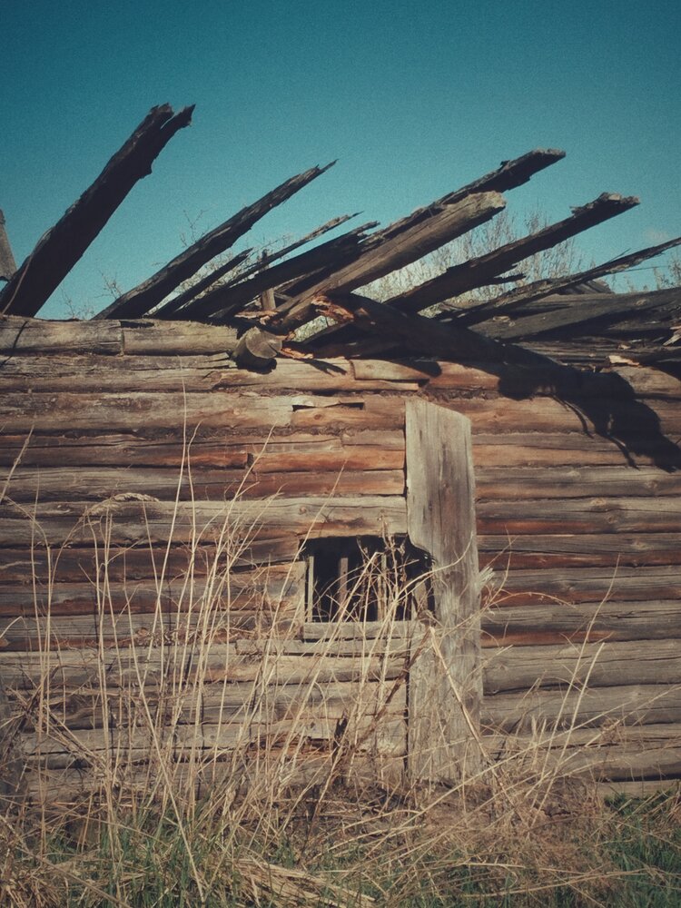 Photo #14067584