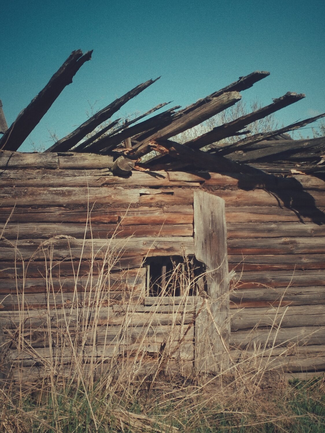 Photo #14067584