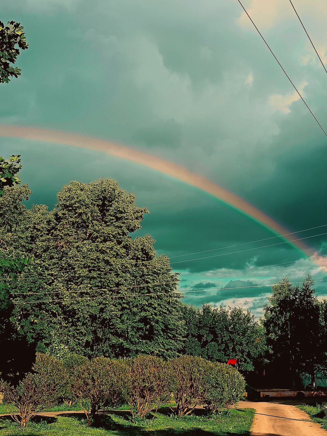 Photo #14067594