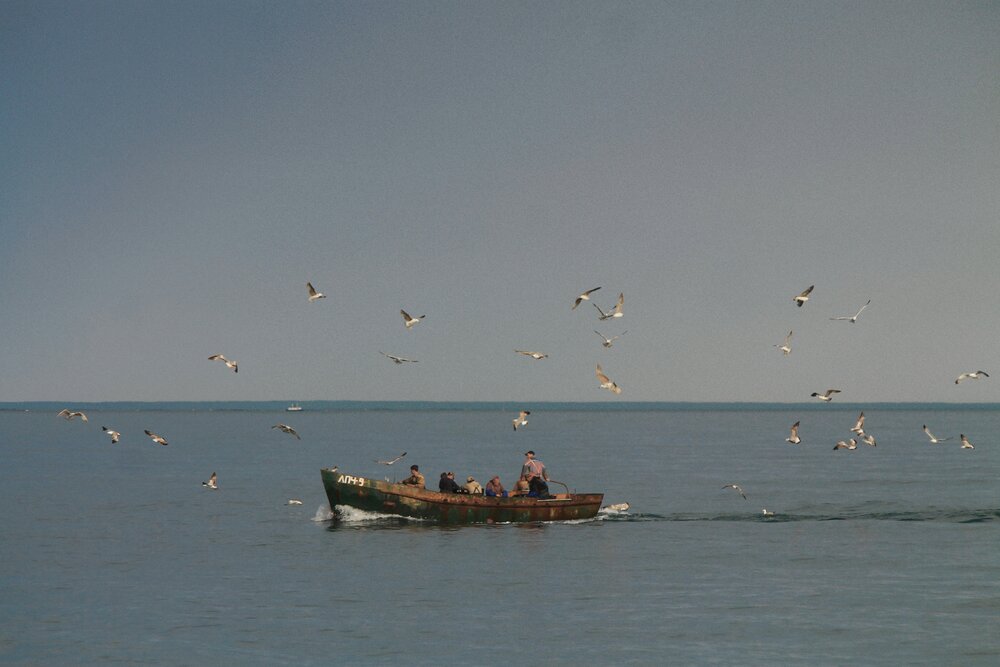 The Black Sea, Adler