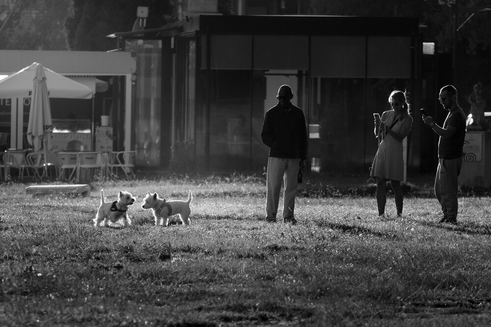 A Moment in the Park