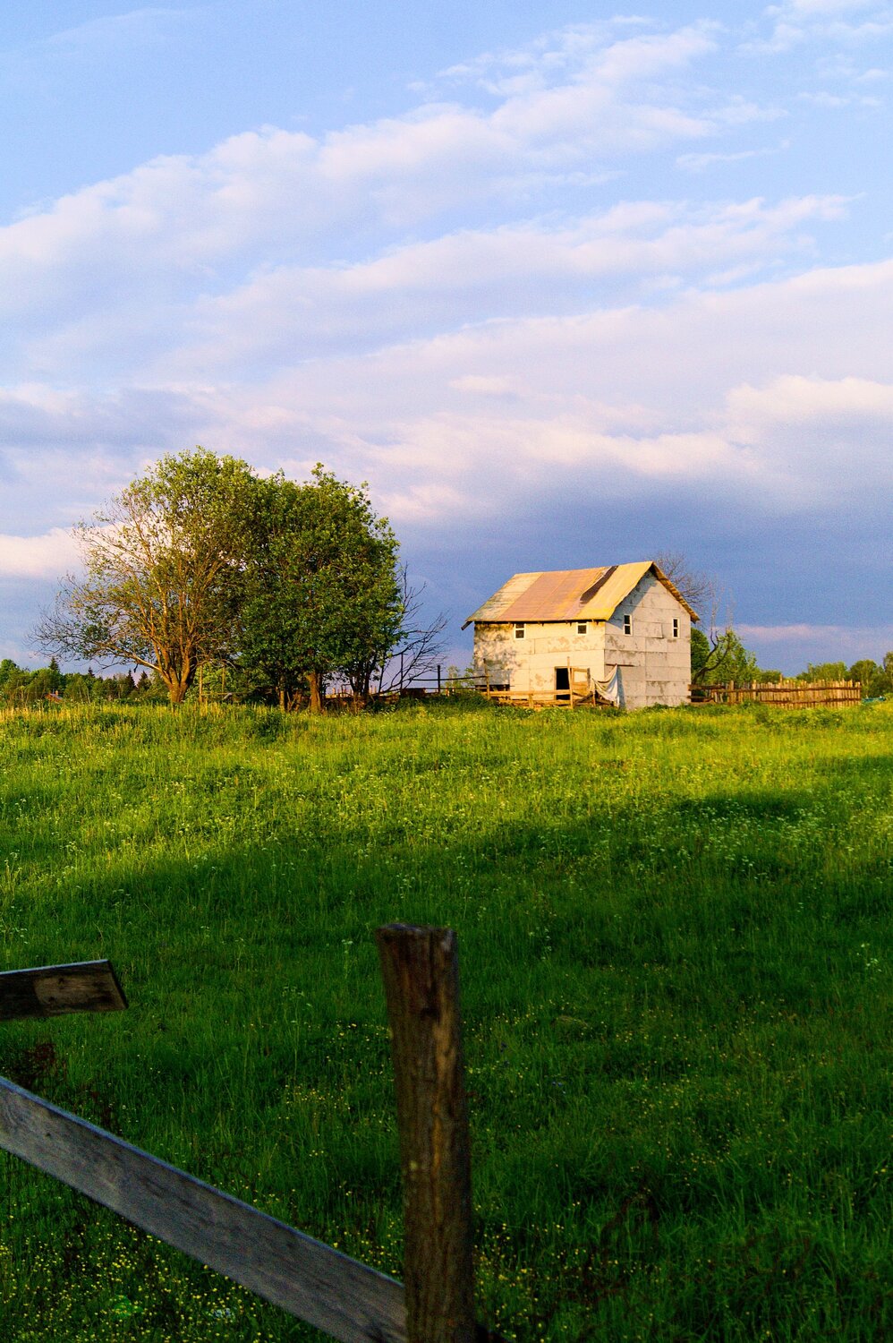 Photo #14067877