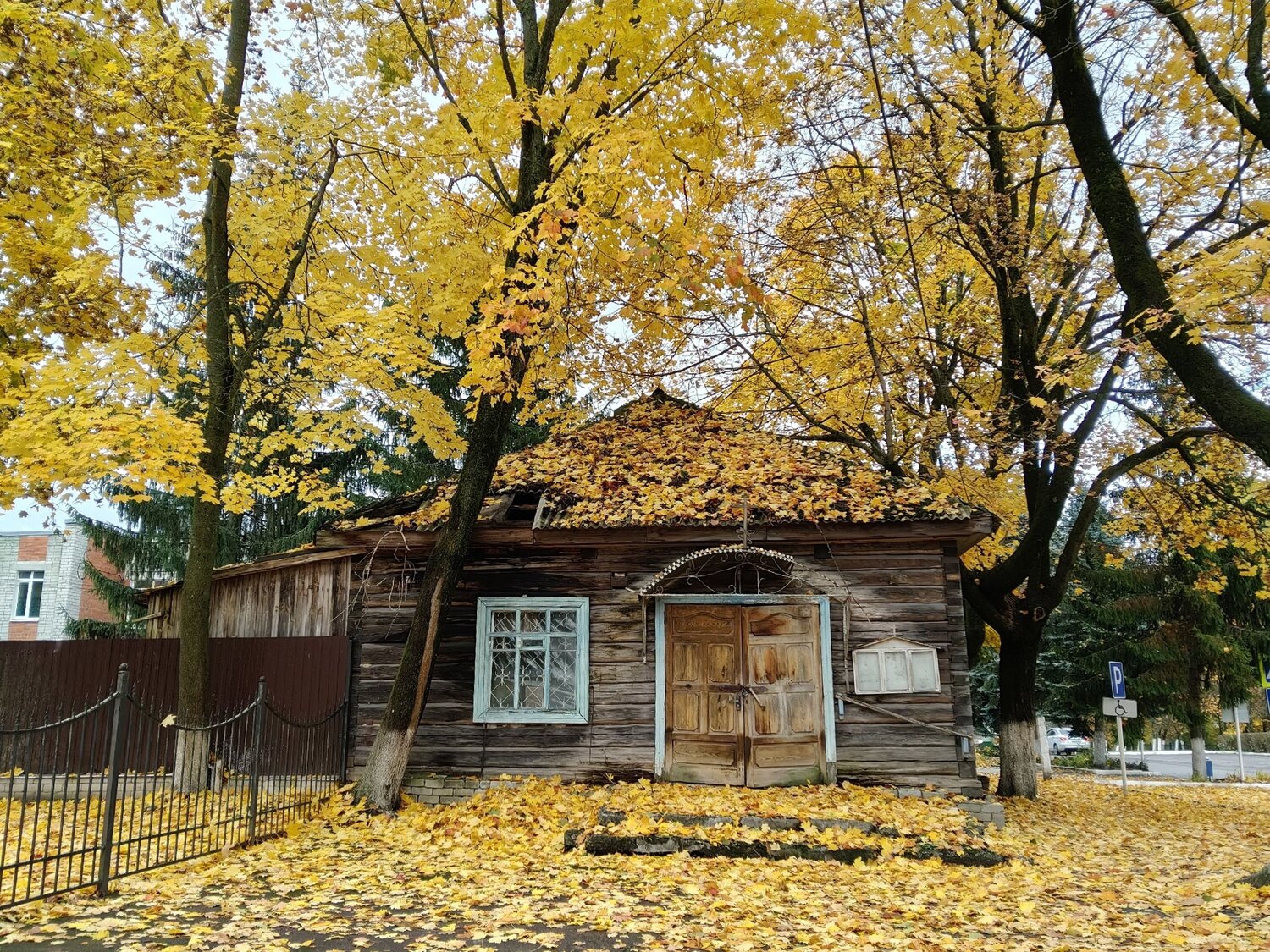 Photo #14068010