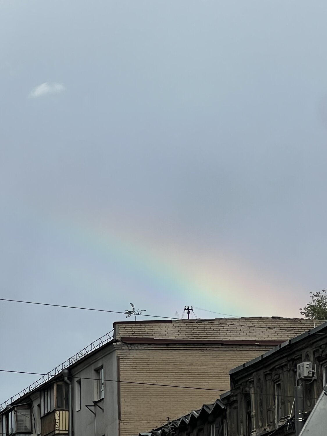 Photo #14068039