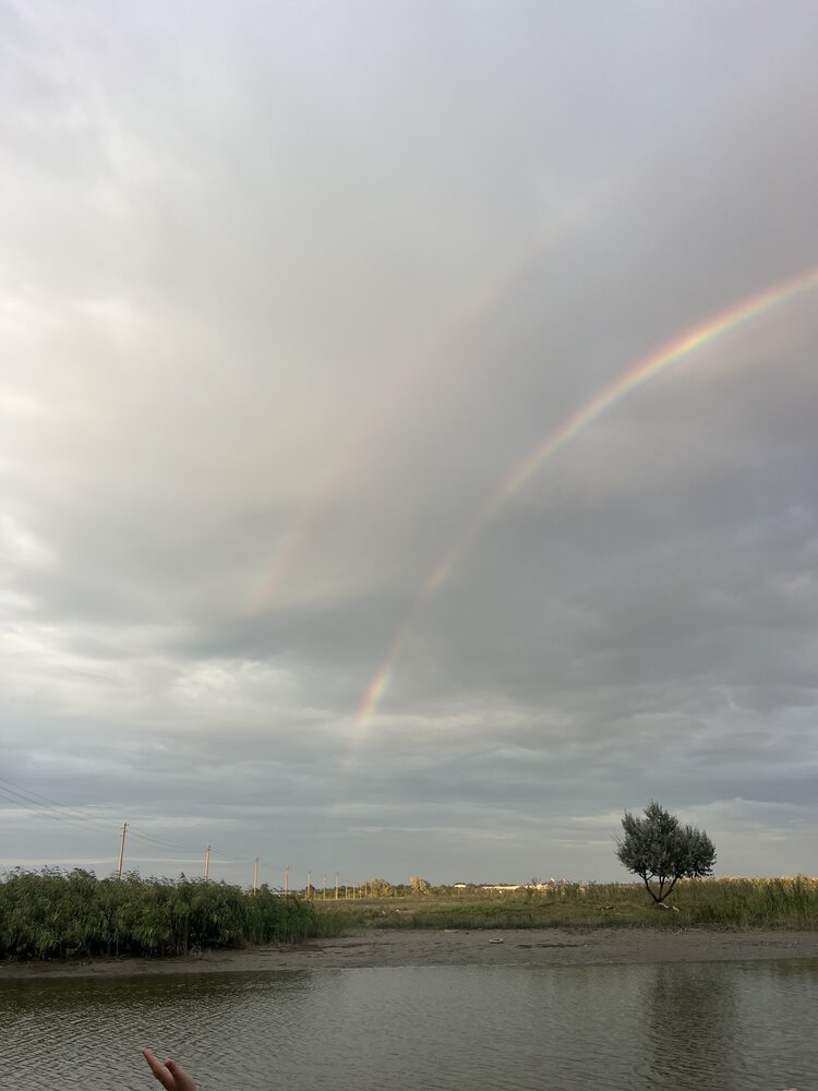Photograph by Ангелина Гребенщенко