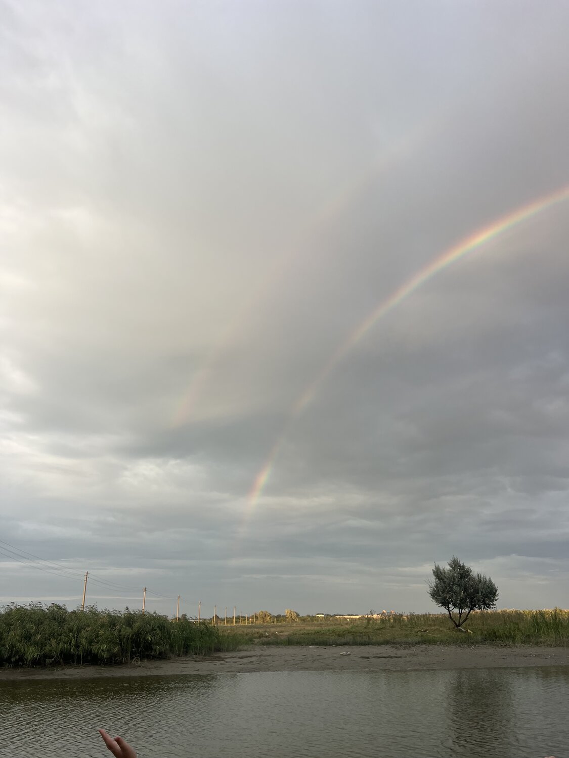 Photo #14068041