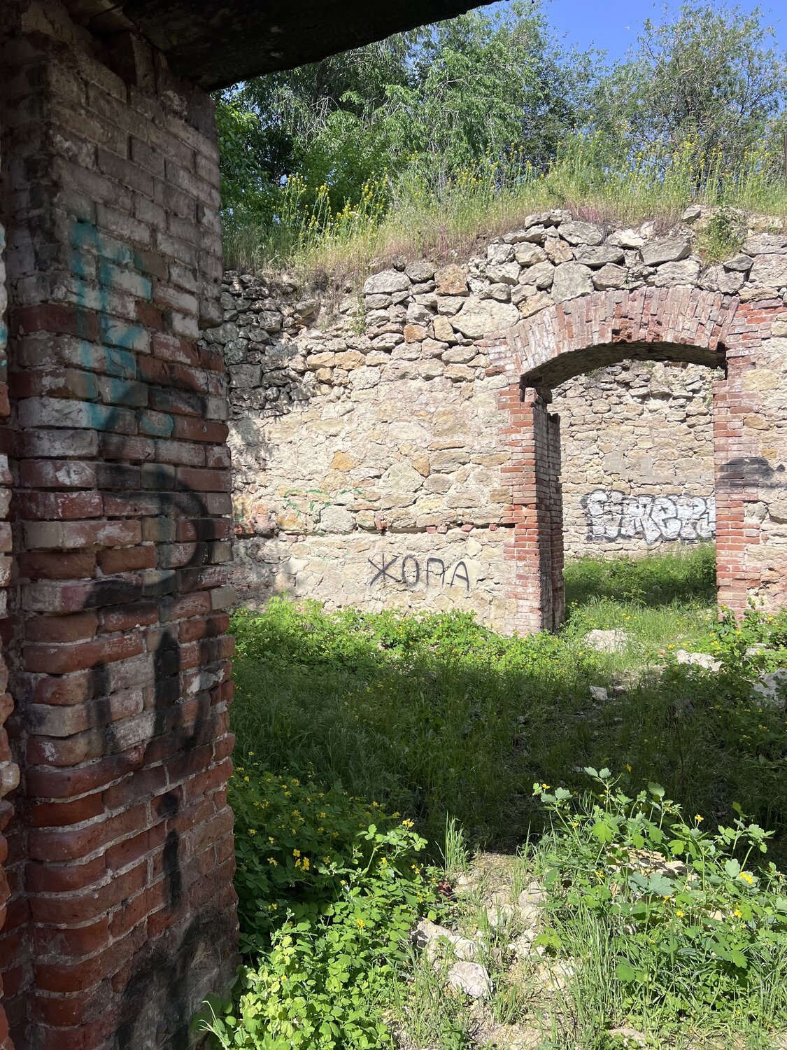 Photo #14068067