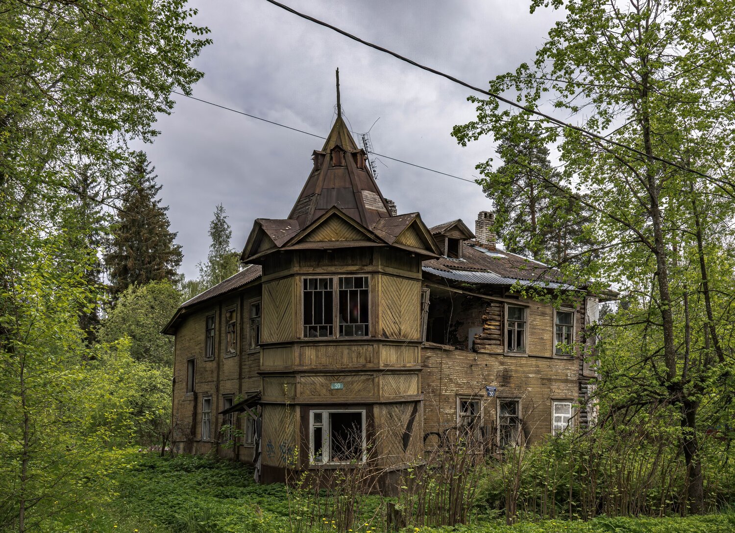 Photo #14068068