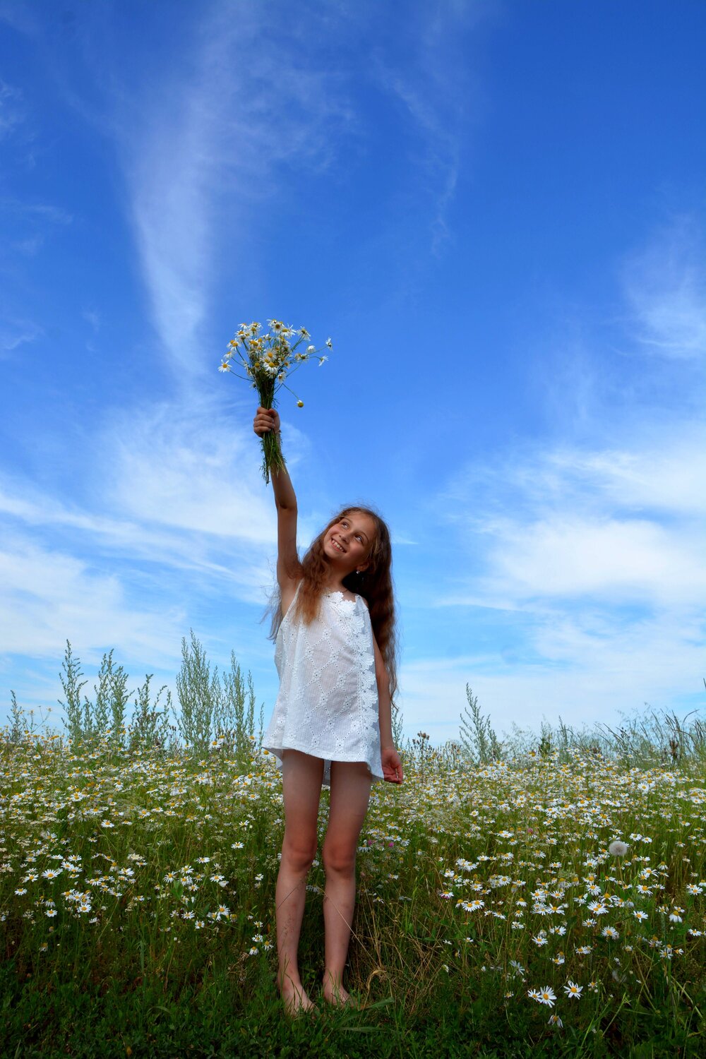 Photo #14068073