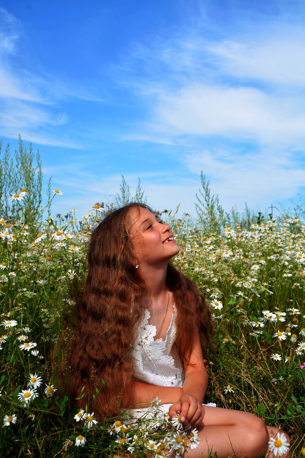 Photo #14068074