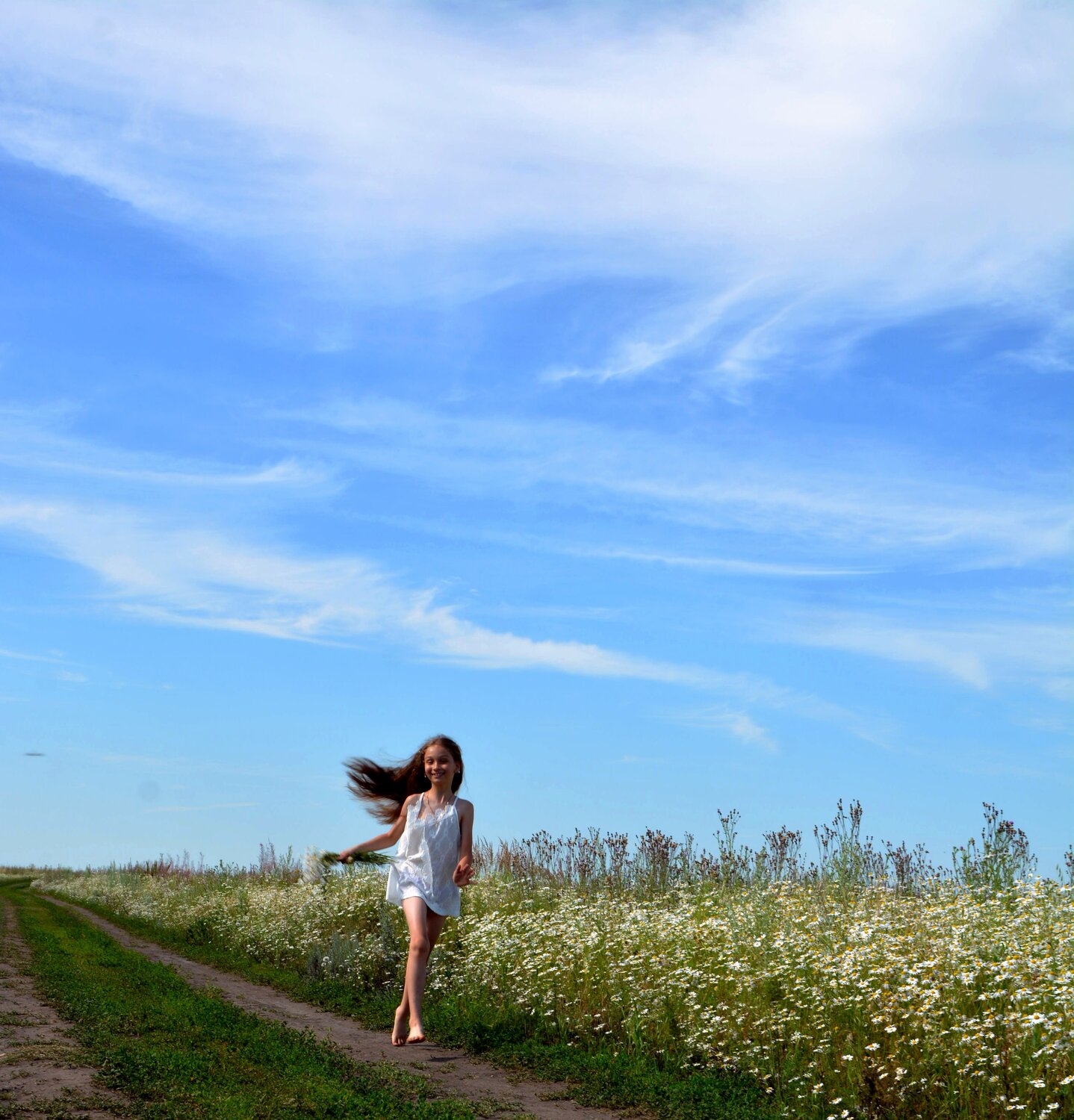 Photo #14068075