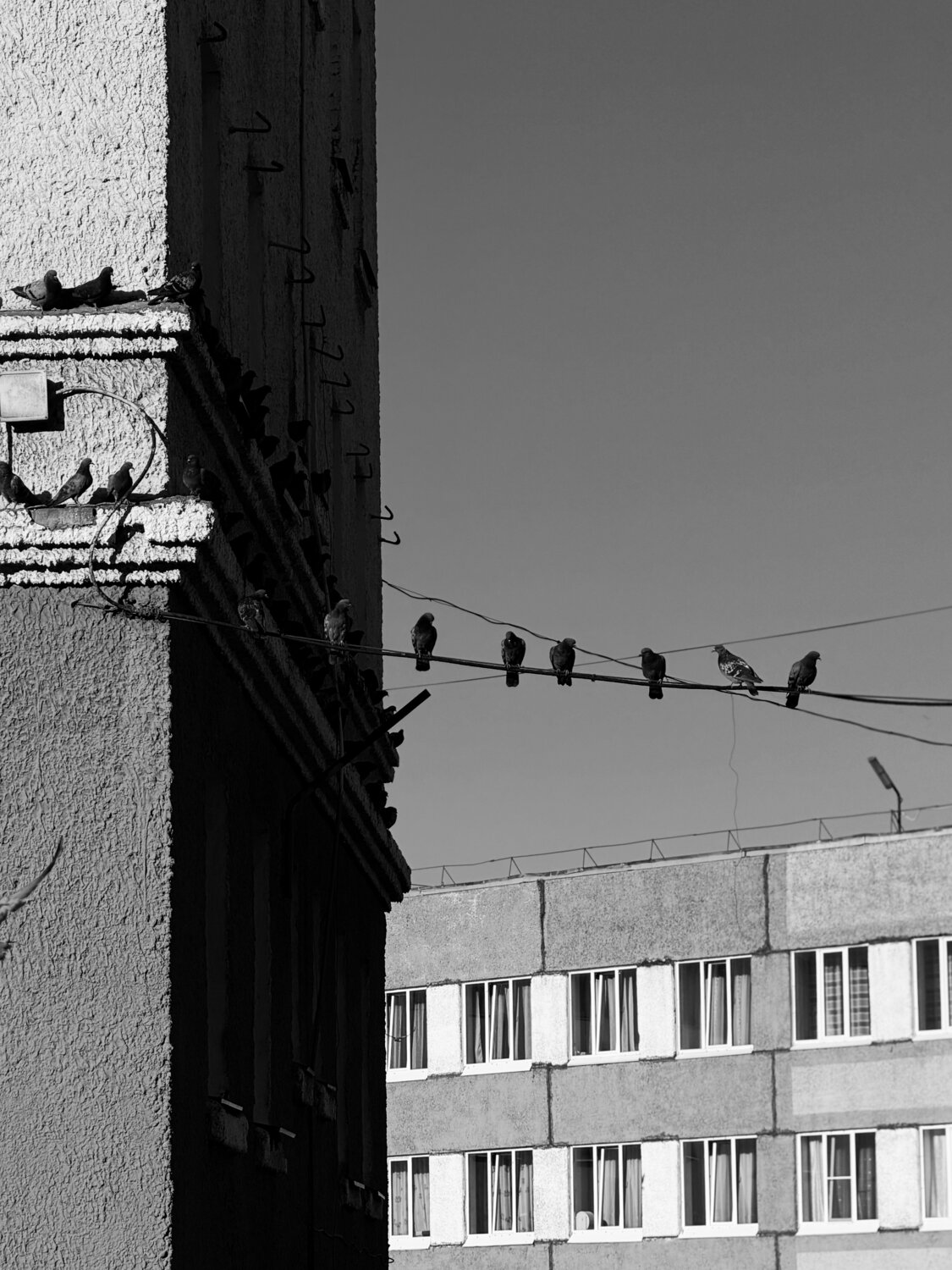 Photo #14068165