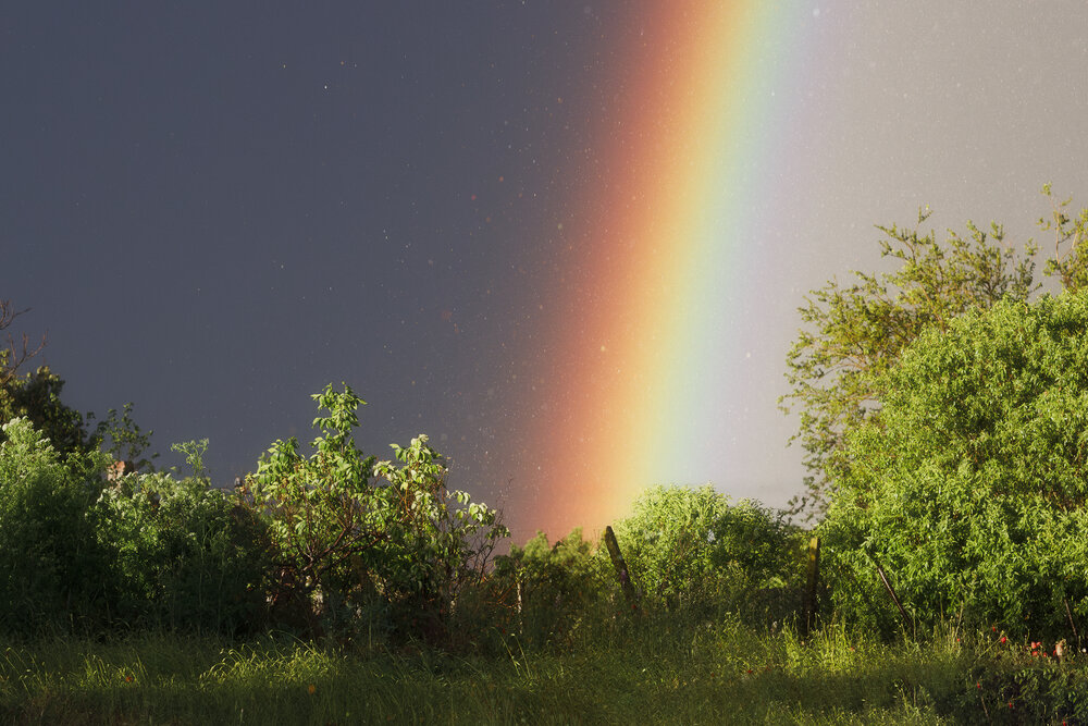 Photograph by Симонян Сергей