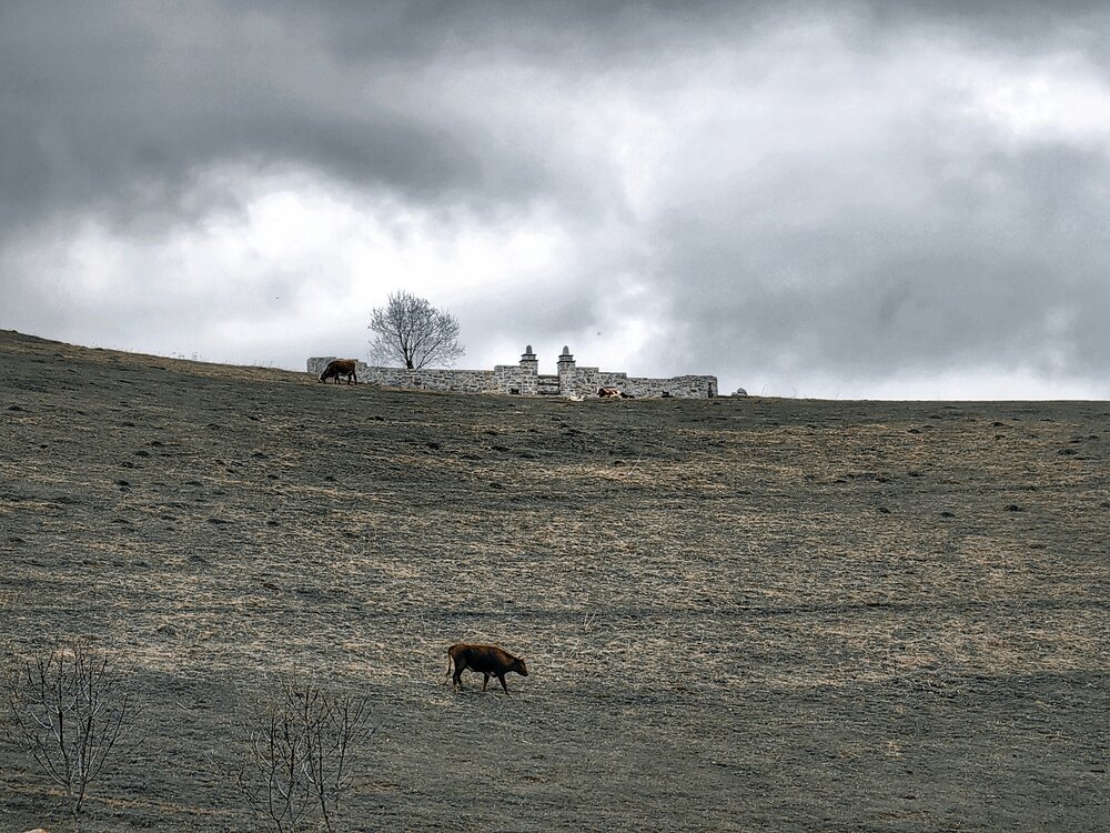 Photograph by OLGA MIKHNEVICH
