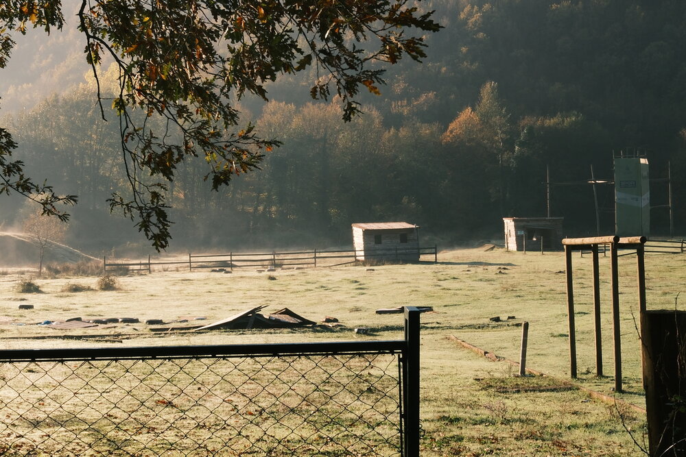 Photo #14068277