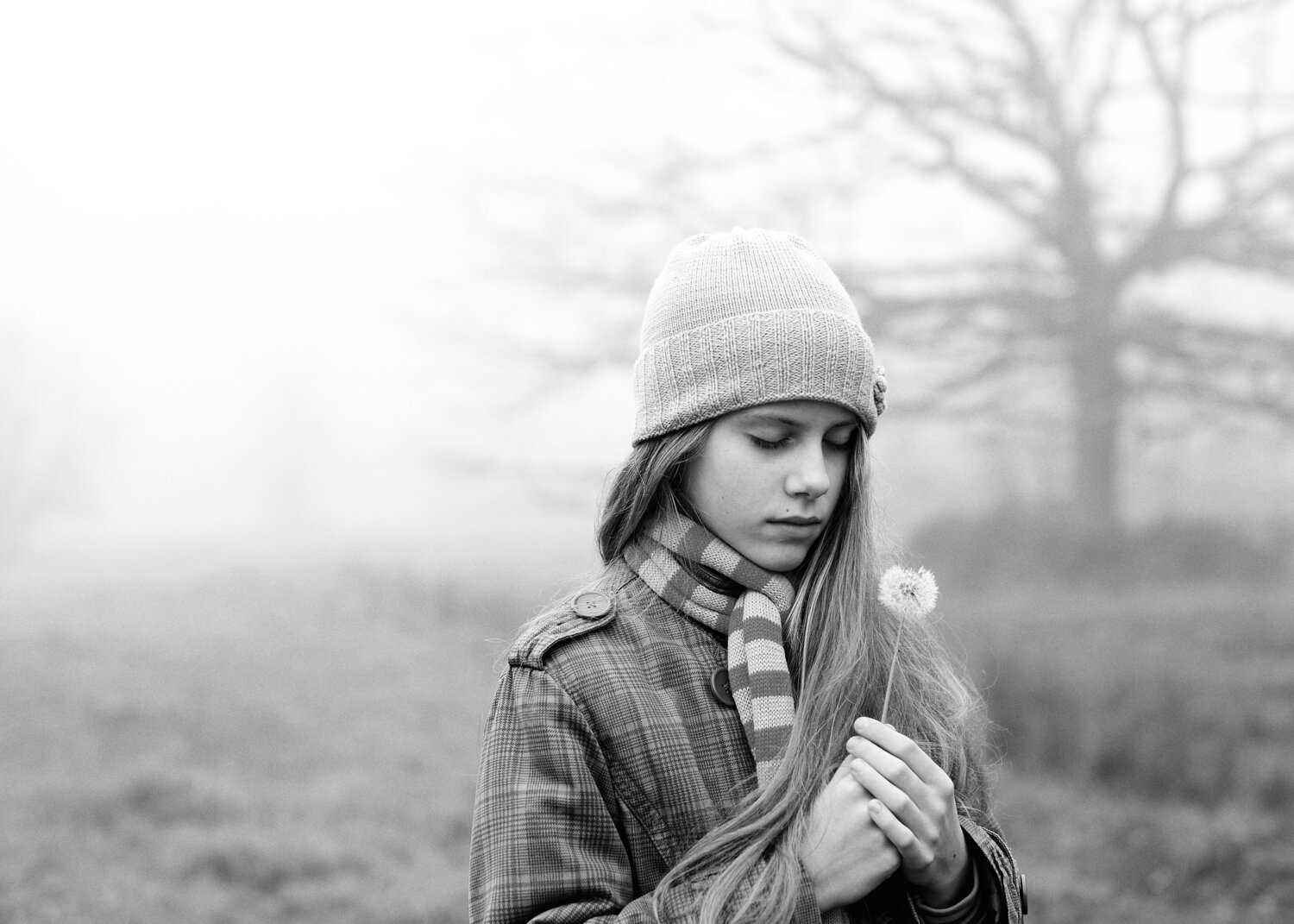 Photo #14068281