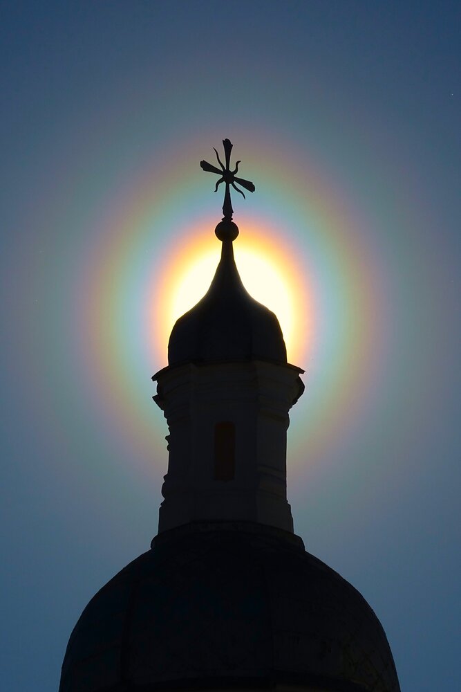 Пыльцевая корона