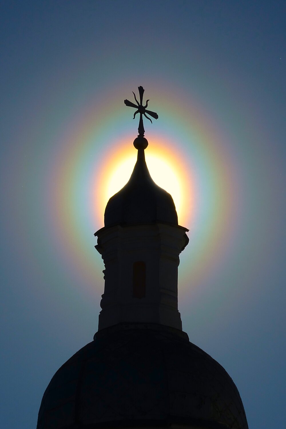 Пыльцевая корона