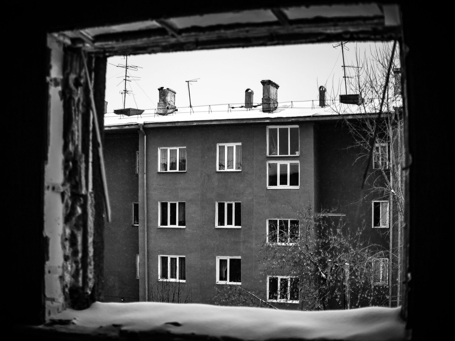 Photo #14068397