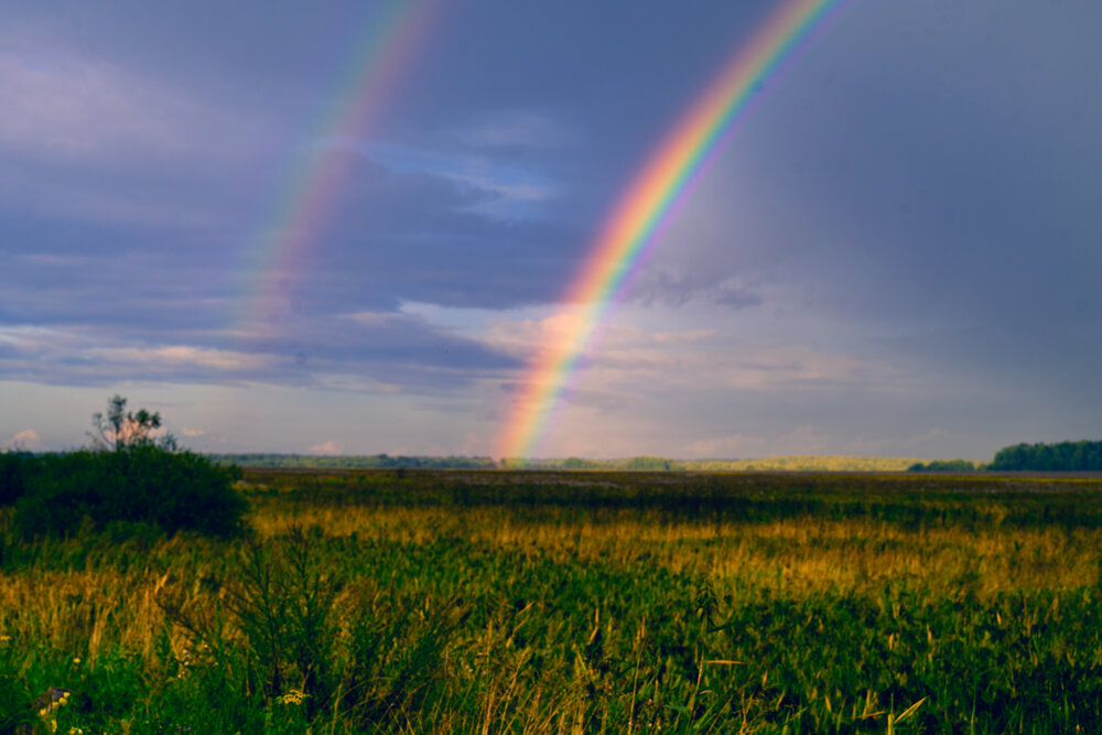 Photograph by Светлана Гаврикова