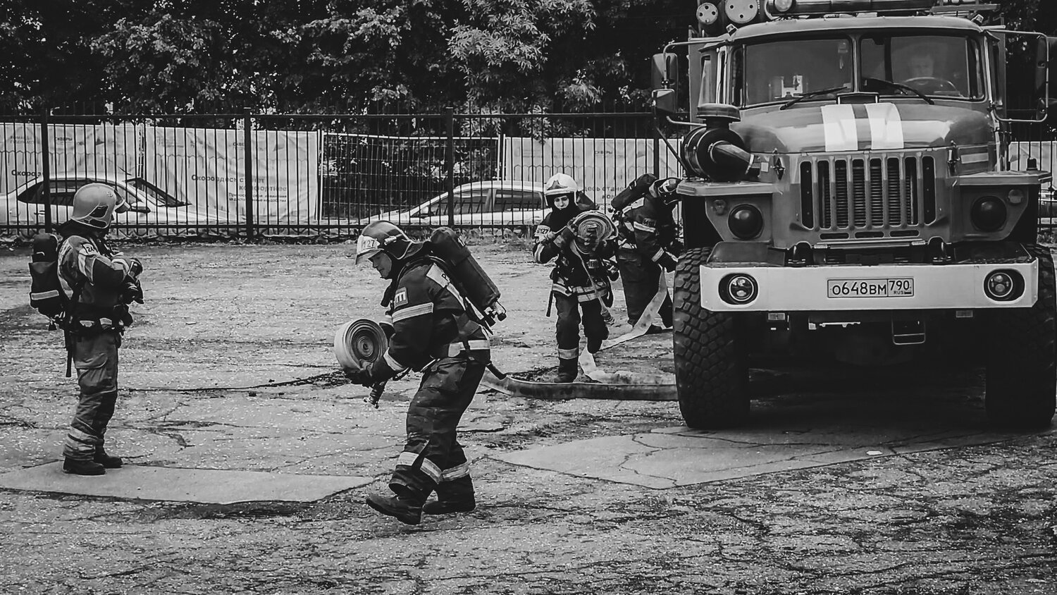 Photo #14068446