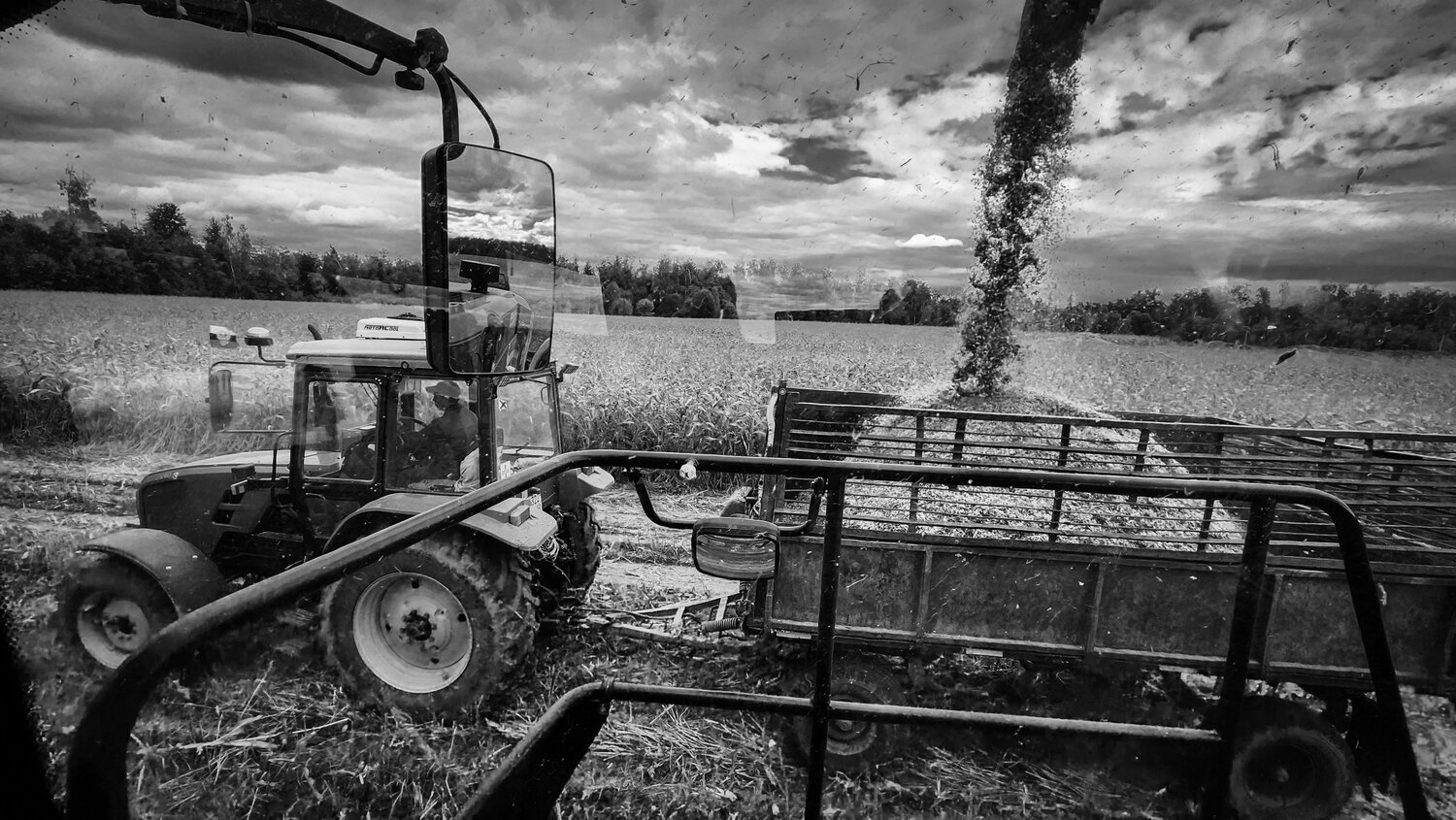 Photo #14068449