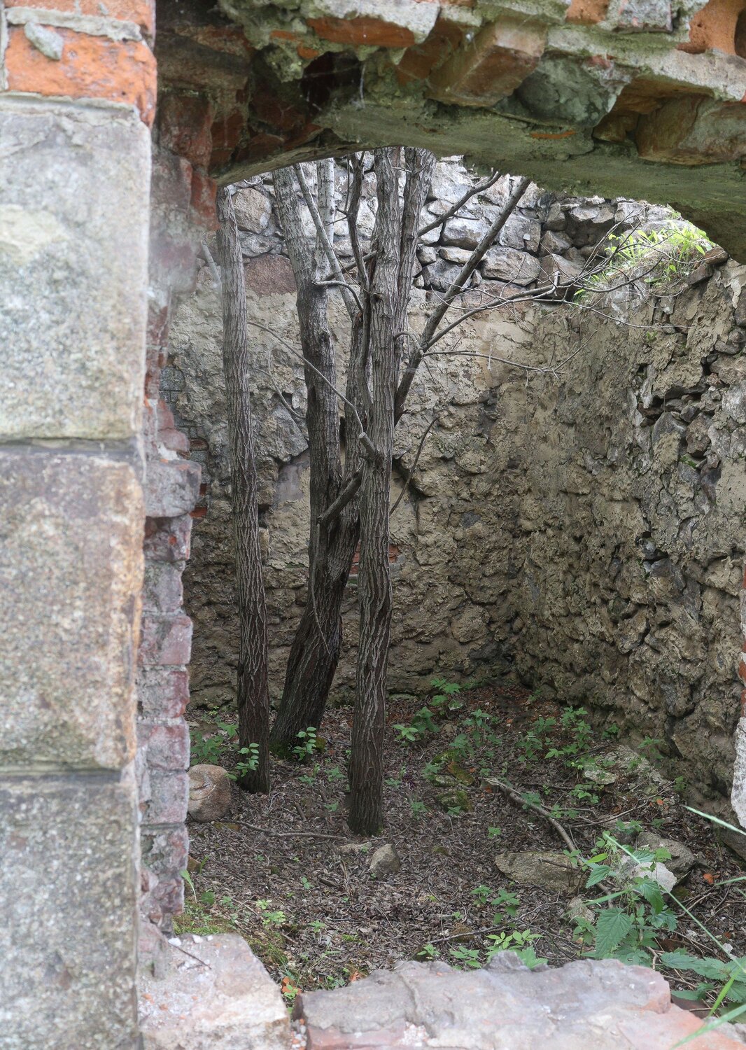 Photo #14068511