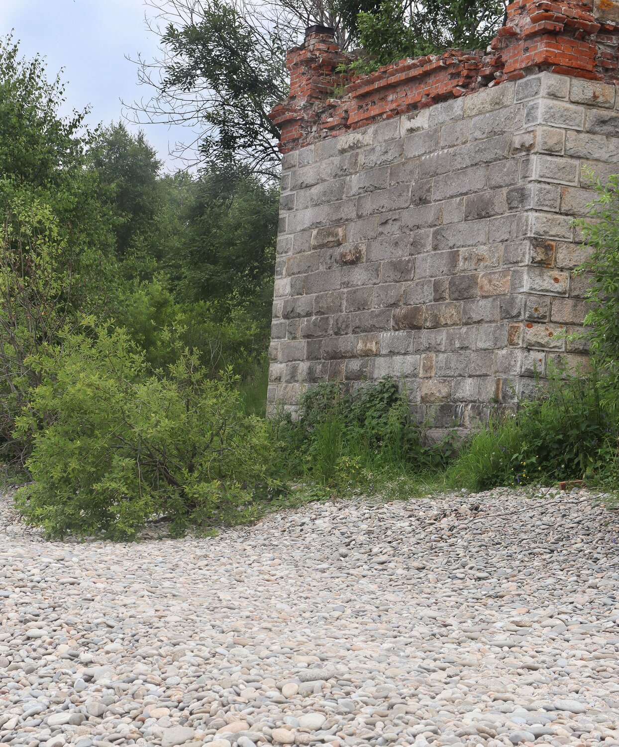 Photo #14068522