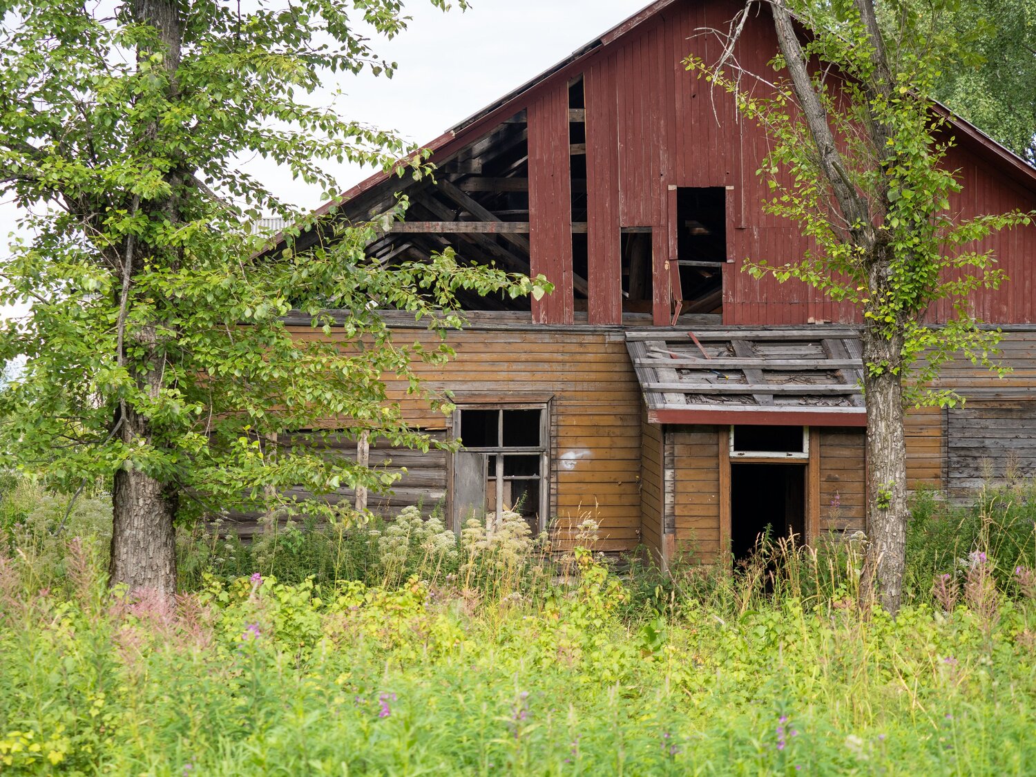 Photo #14068602