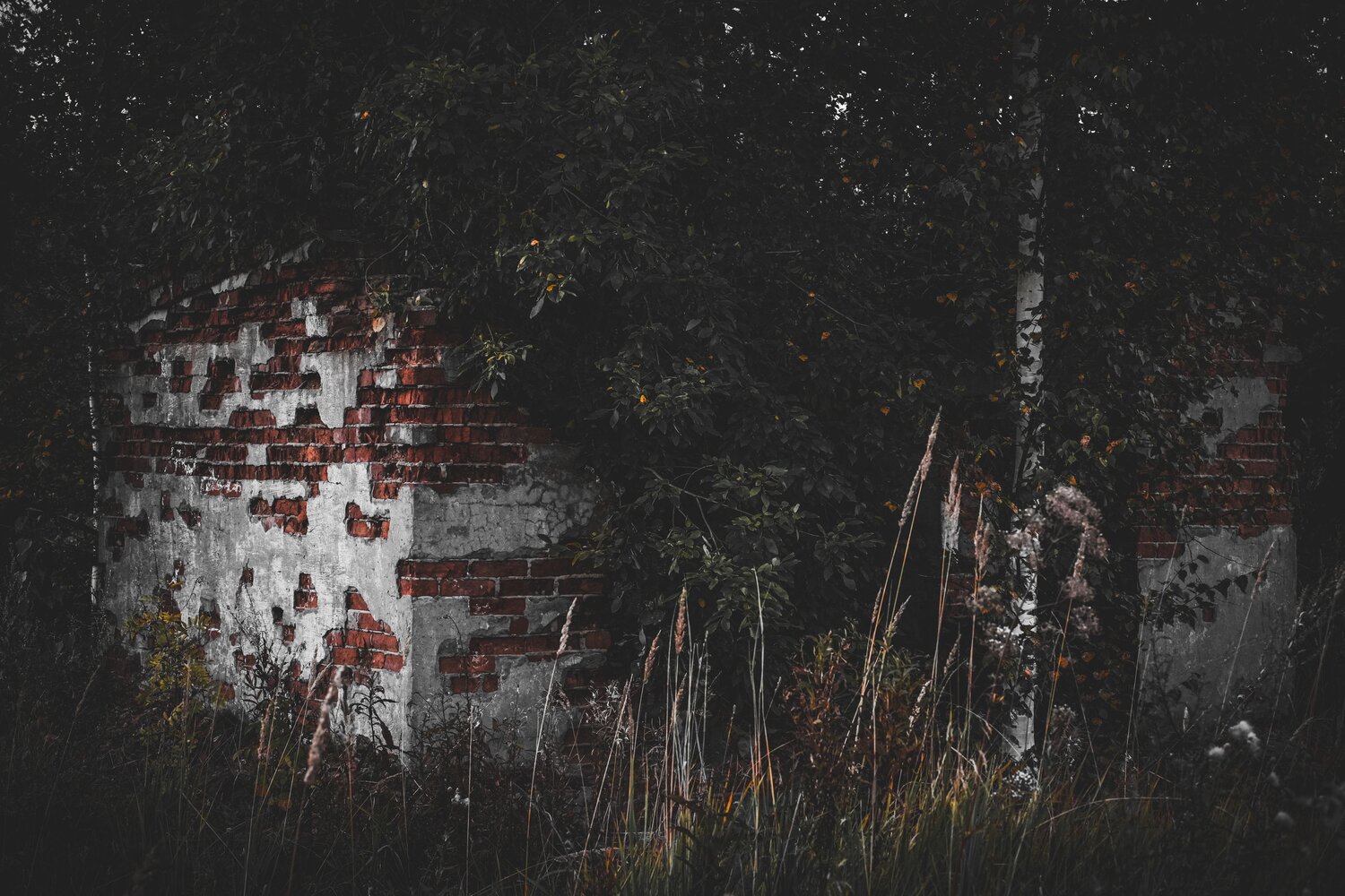 Photo #14068729