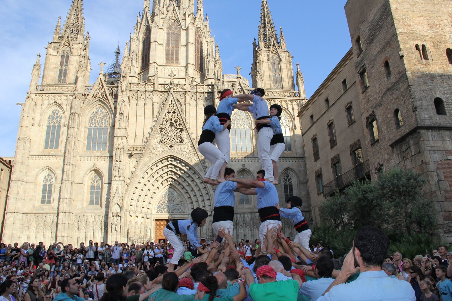 Photo #14068786