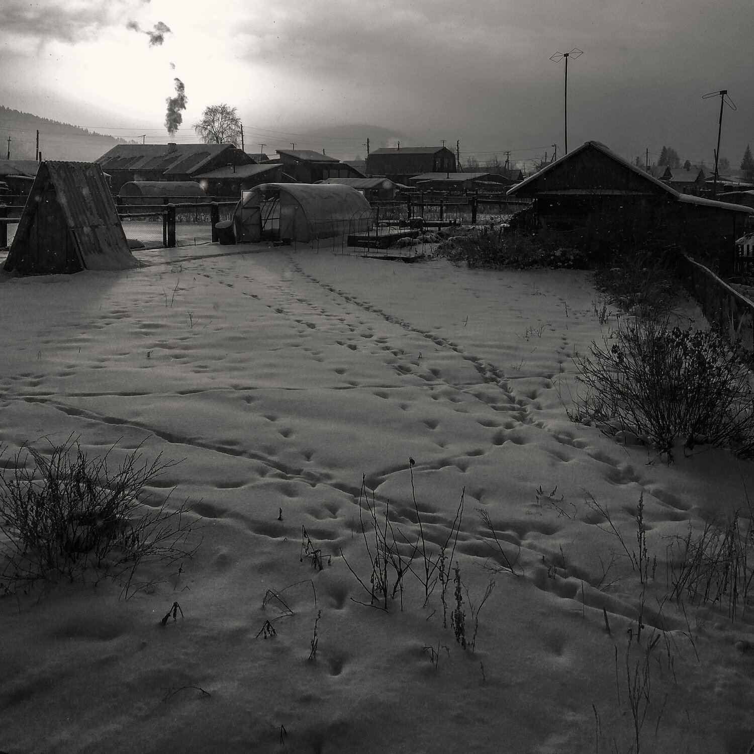 Photo #14068895