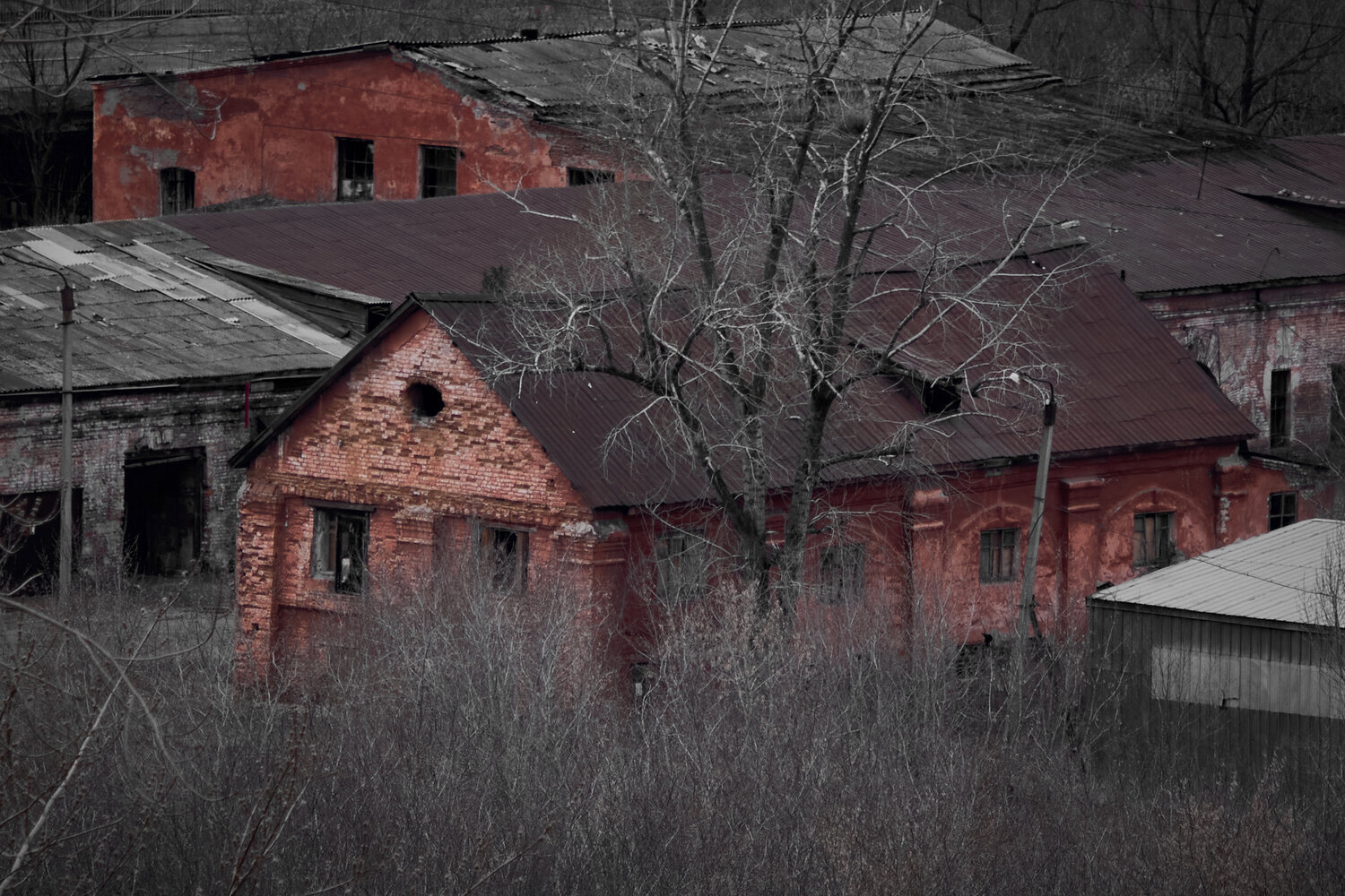 Photo #14069109