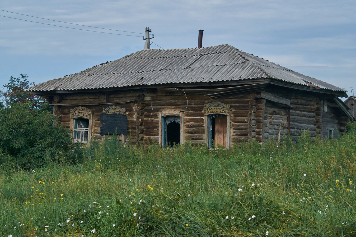Фотография #14069114