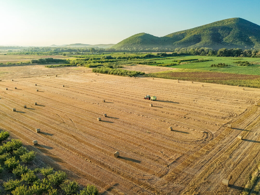 The Rhythm of Bales