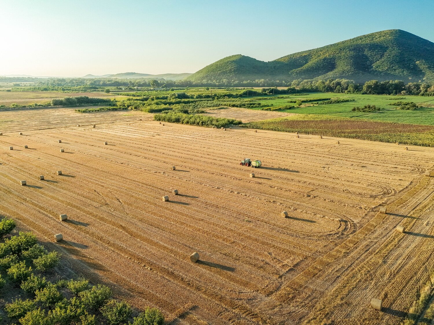 The Rhythm of Bales