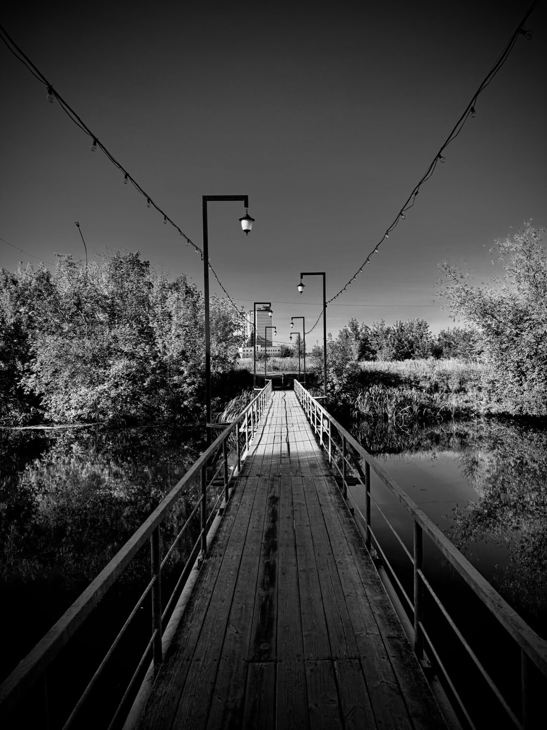Photo #14069220