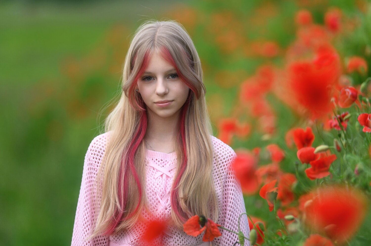 Photo #14069356