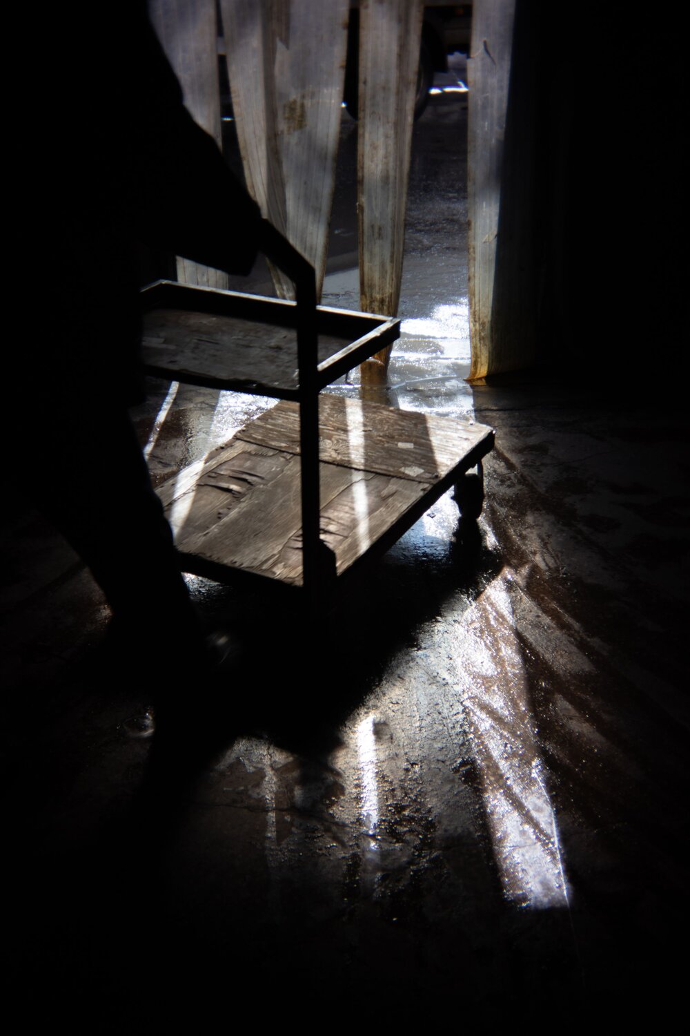 Photo #14069436
