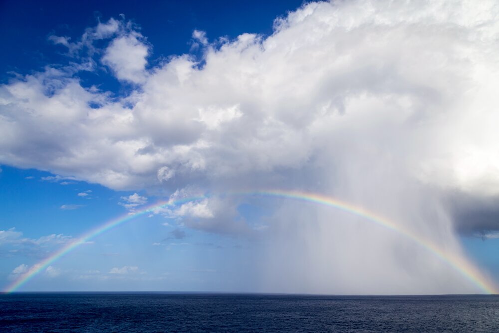 Photograph by Karim Shokair