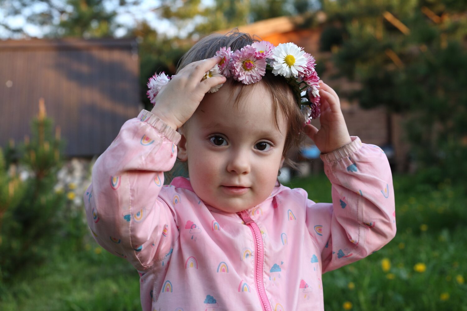 Photo #14069504