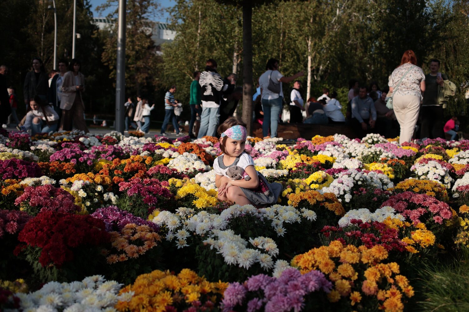 Photo #14069519