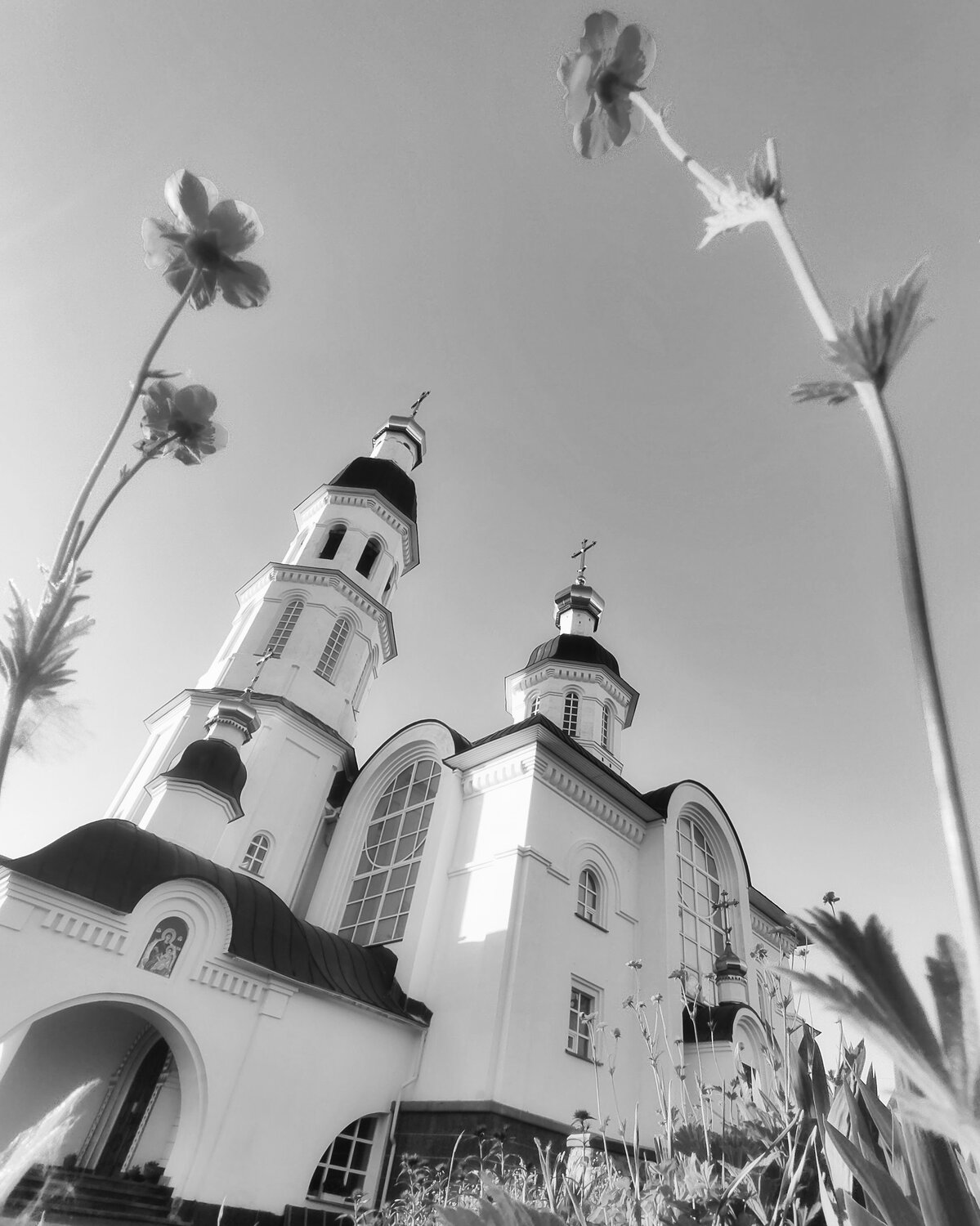 Photo #14069574