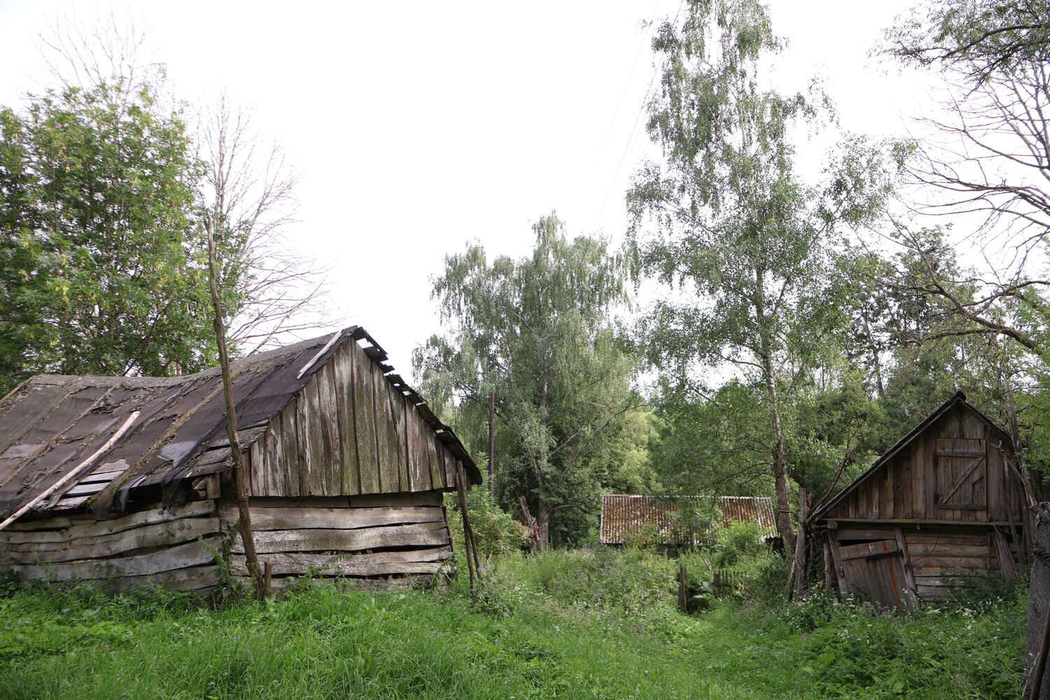 Photo #14069678