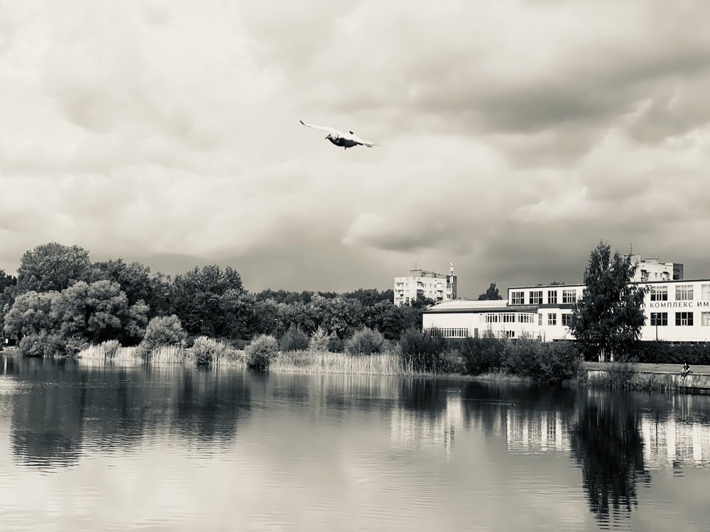 Photograph by Яна Егорова