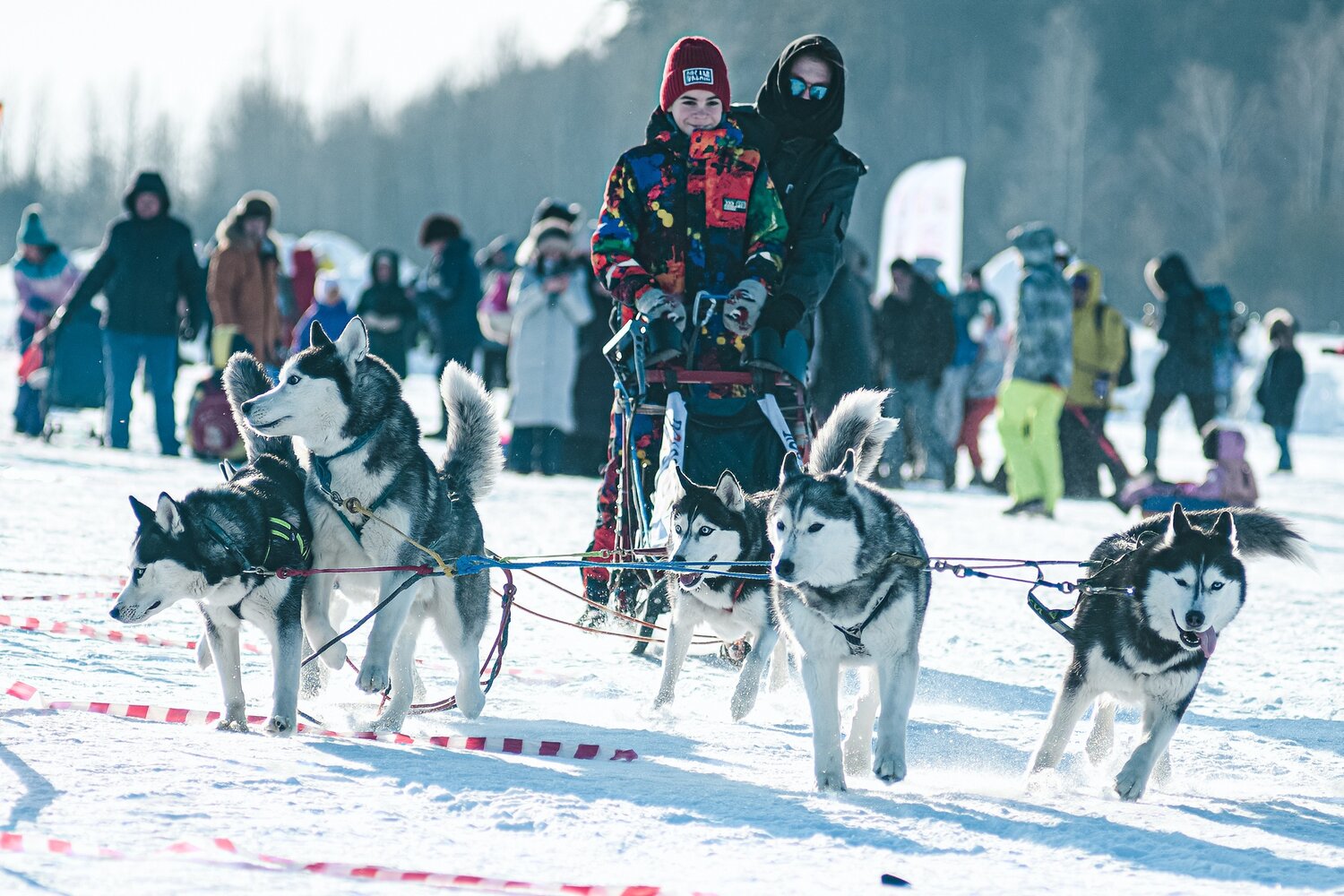 Photo #14069760