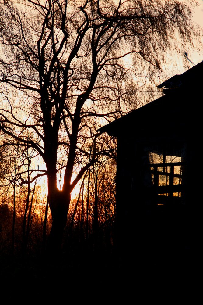 Photograph by Александра