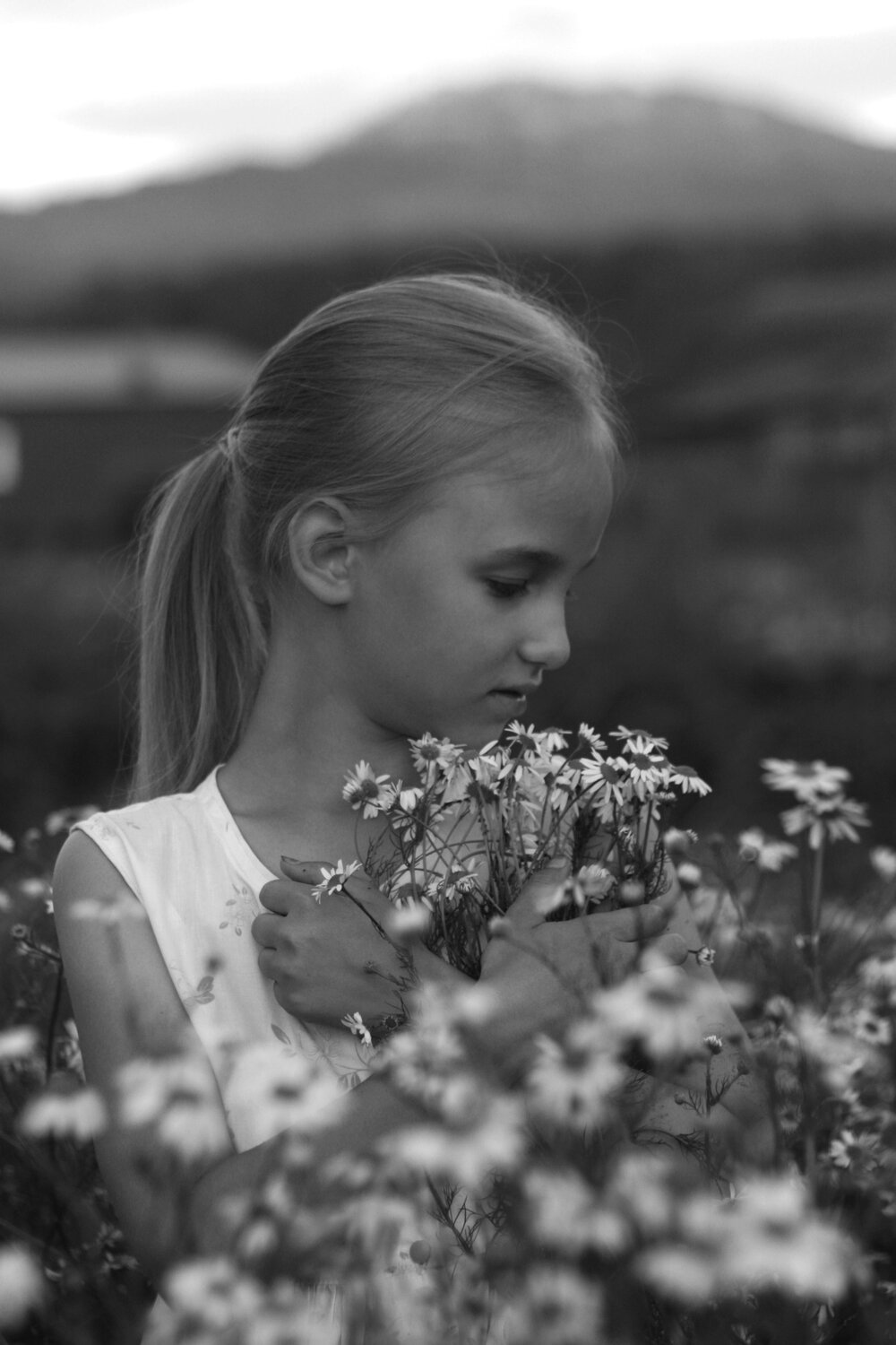 Photo #14070017