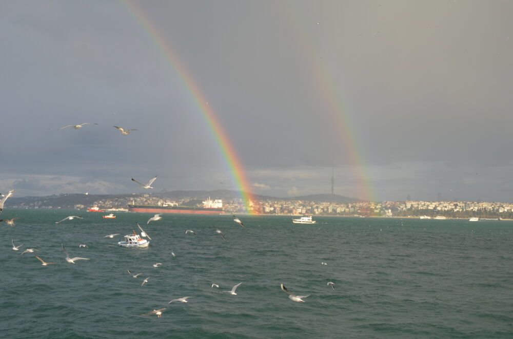 Photograph by Дмитрий Зенкин