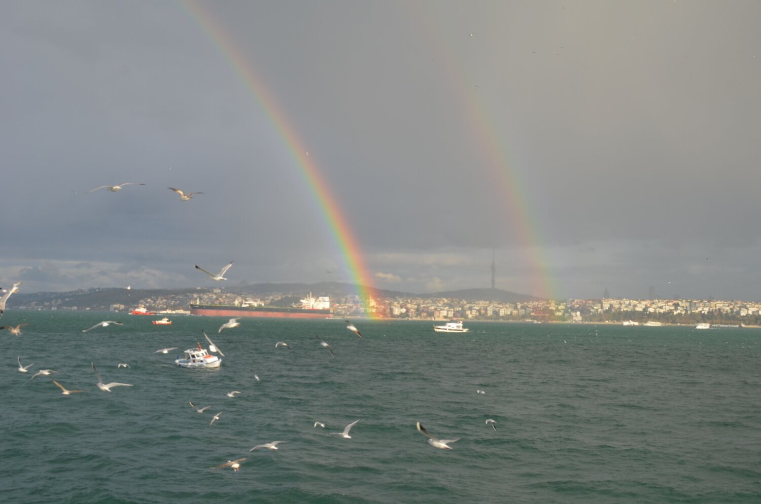 Photo #14070047